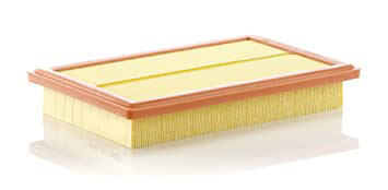 Hengst Air Filter